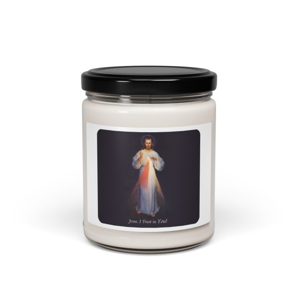 Divine Mercey 9oz Scented Soy Candle - White Sage and Lavender