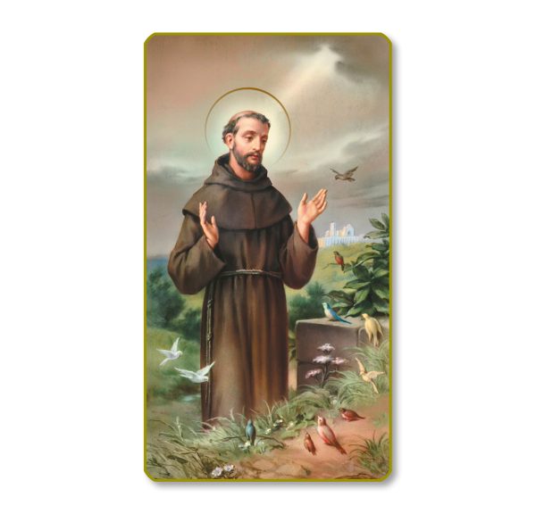 Saint Francis of Assisi Gold Edge Blank Paper Prayer Card (pack of 100)