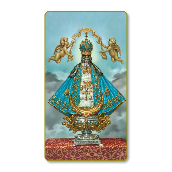 Our Lady of San Juan De Los Lagos Gold Edge Blank Paper Prayer Card (pack of 100)