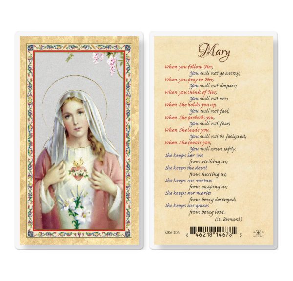 Mary When You Follow Her Gold-Stamped Laminated Prayer Card (pack of 25)