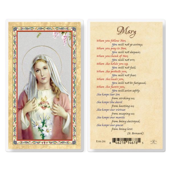 Mary When You Follow Her Gold-Stamped Laminated Prayer Card (pack of 25)