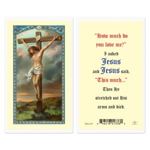 Crucifixion-I asked Jesus Laminated Prayer Card (pack of 25)