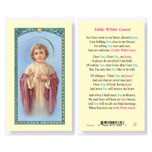 Little White Guest Laminated Prayer Card (pack of 25)
