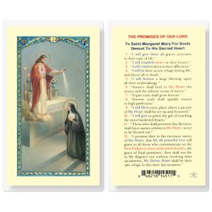 Promises of Our Lord Laminated Prayer Card (pack of 25)