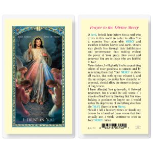 Jesus Christ King of Mercy Laminated Prayer Card (pack of 25)