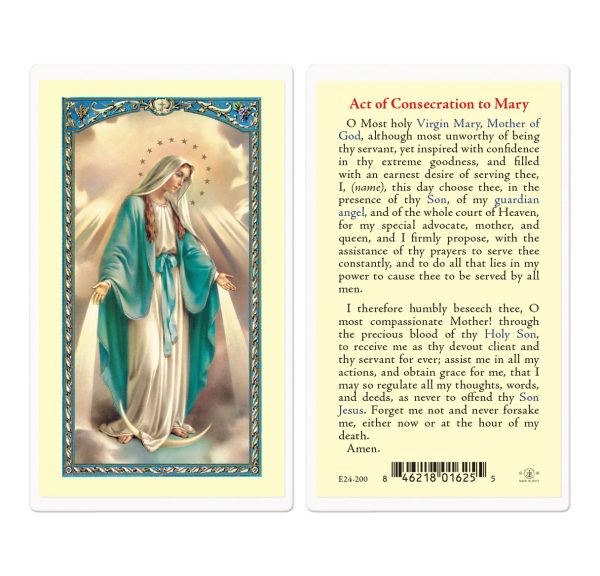 Devotions of the Blessed Virgin Mary Laminated Prayer Card (pack of 25)