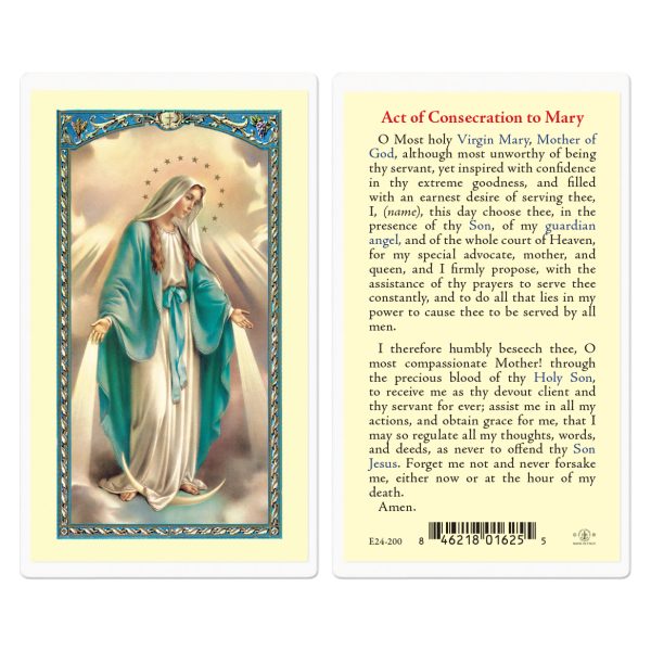Devotions of the Blessed Virgin Mary Laminated Holy Card (pack of 25)