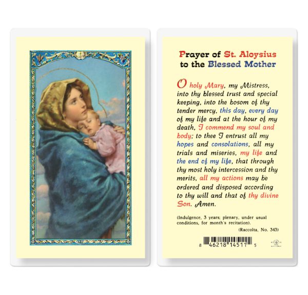 Prayer of Saint Aloysius to the Blessed Mother Laminated Prayer Card (pack of 25)