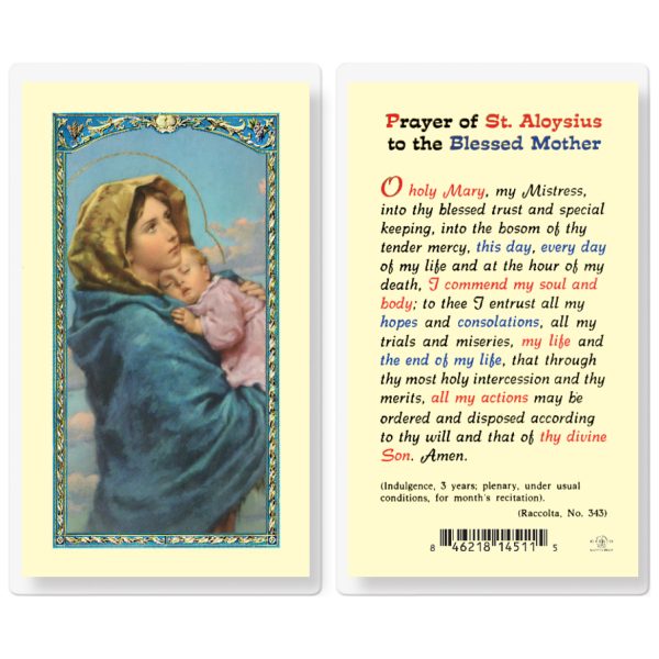 Prayer of Saint Aloysius to the Blessed Mother Laminated Holy Card (pack of 25)