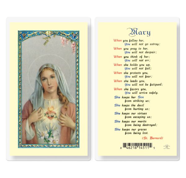 Mary When You Follow Her Laminated Prayer Card (pack of 25)