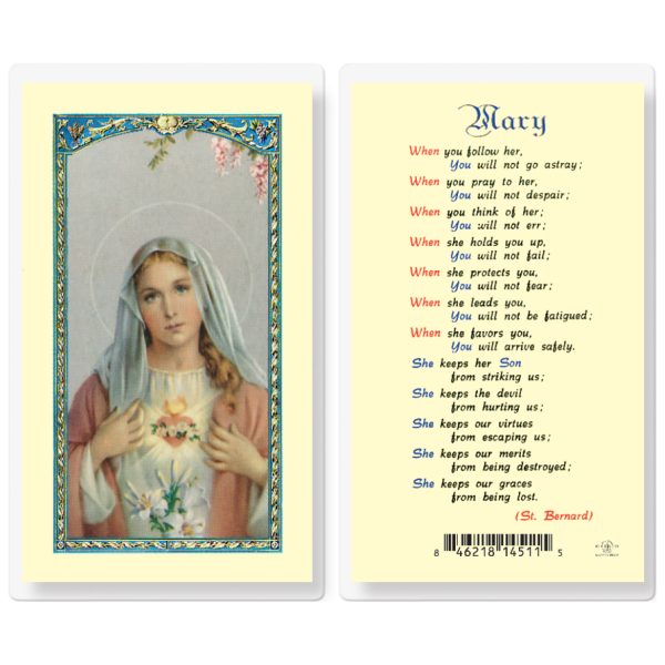 Mary When You Follow Her Laminated Holy Card (pack of 25)