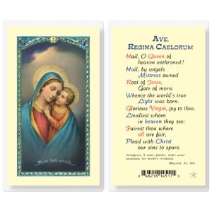 Our Lady of Good Counsel Laminated Prayer Card (pack of 25)
