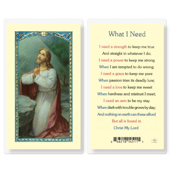 What I Need Laminated Holy Card (pack of 25)