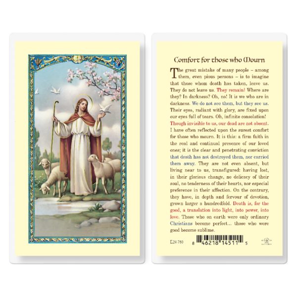 Comfort for Those Who Mourn Laminated Holy Card (pack of 25)