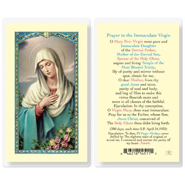 Immaculate Virgin Laminated Holy Card (pack of 25)