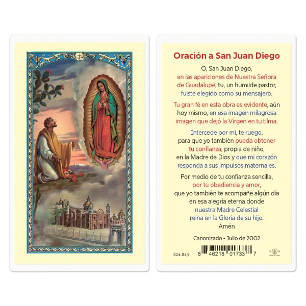 Our Lady of Guadalupe Laminated Holy Card (pack of 25)