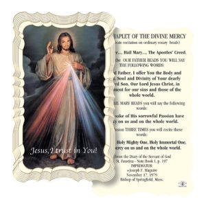 Chaplet of the Divine Mercy Embossed Linen Prayer Card (Pack of 50)