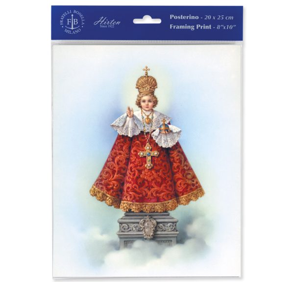 8" x 10" Infant of Prague Print (sold in packages of 3)