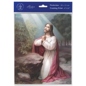 8" x 10" Christ on the Mount of Olives Print (sold in packages of 3)