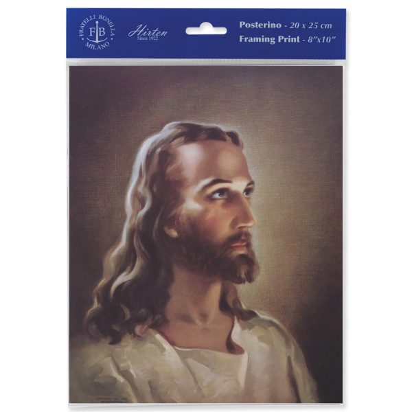 8" x 10" Head of Christ Print (sold in packages of 3)