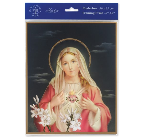 8" x 10" Immaculate Heart of Mary Print (sold in packages of 3)