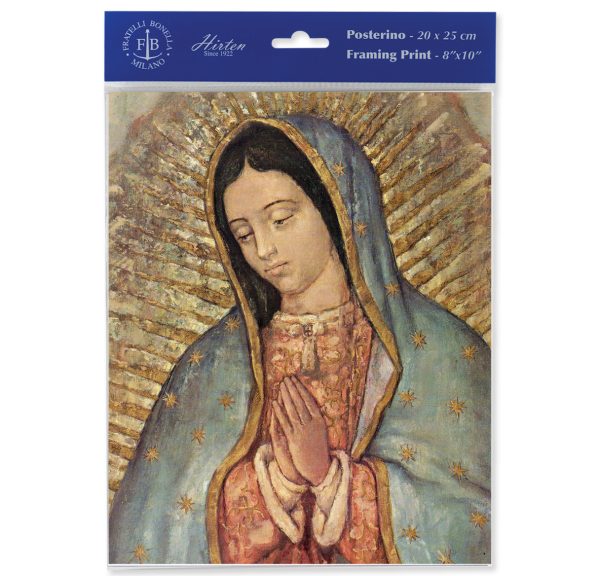 8" x 10" Our Lady of Guadalupe Print (sold in packages of 3)