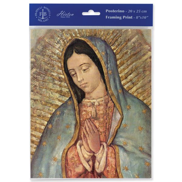 8" x 10" Our Lady of Guadalupe Print (sold in packages of 3)