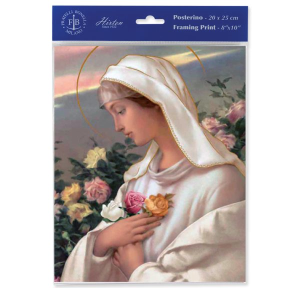 8" x 10" Mystical Rose Print (sold in packages of 3)