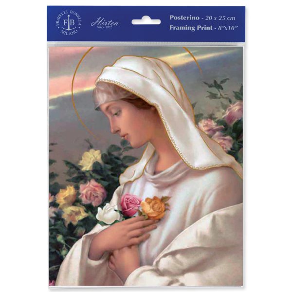8" x 10" Mystical Rose Print (sold in packages of 3)
