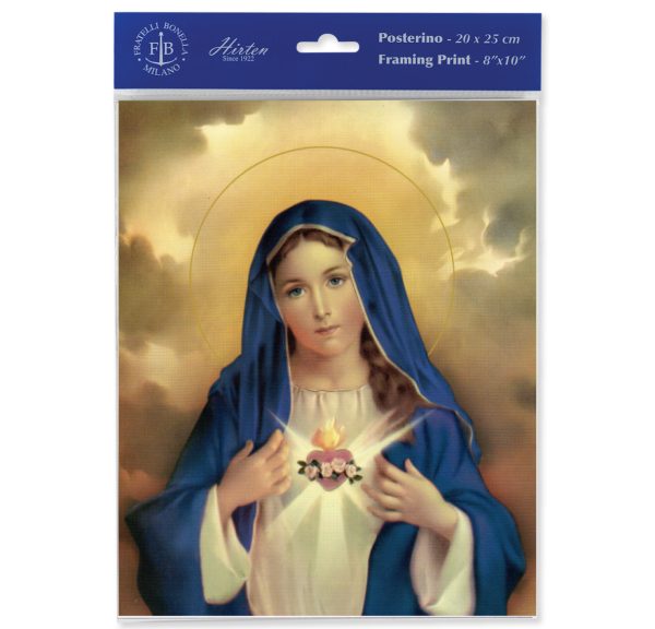 8" x 10" Immaculate Heart of Mary Print (sold in packages of 3)