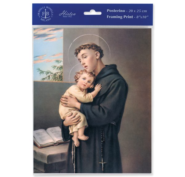 8" x 10" St. Anthony Print (sold in packages of 3)