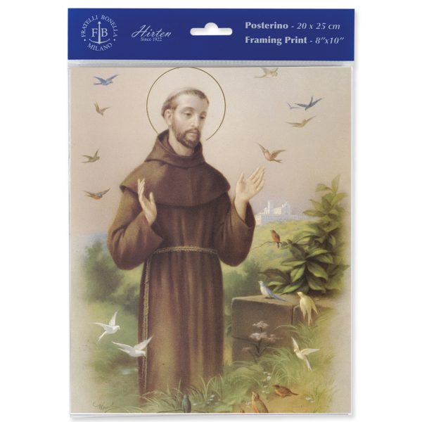 8" x 10" St. Francis Print (sold in packages of 3)