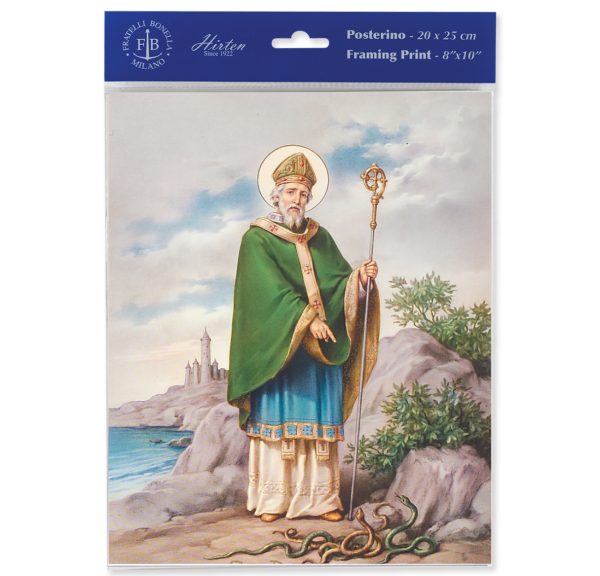 8" x 10" St. Patrick Print (sold in packages of 3)