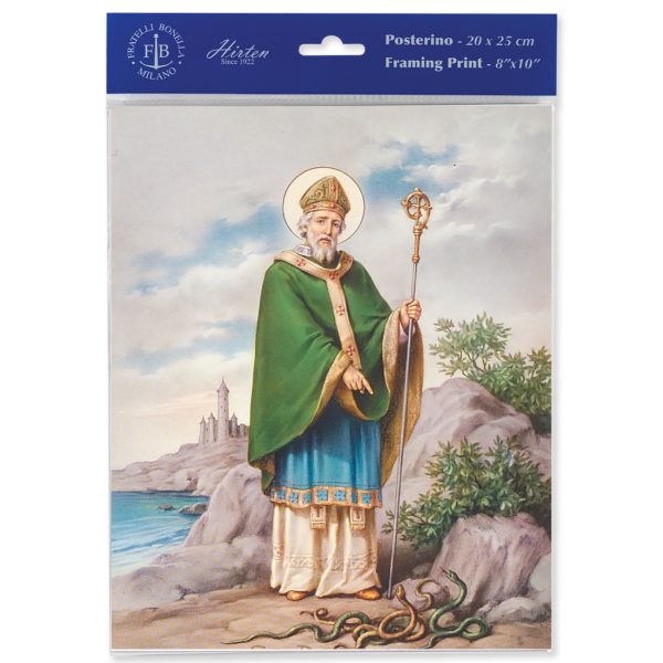 8" x 10" St. Patrick Print (sold in packages of 3)